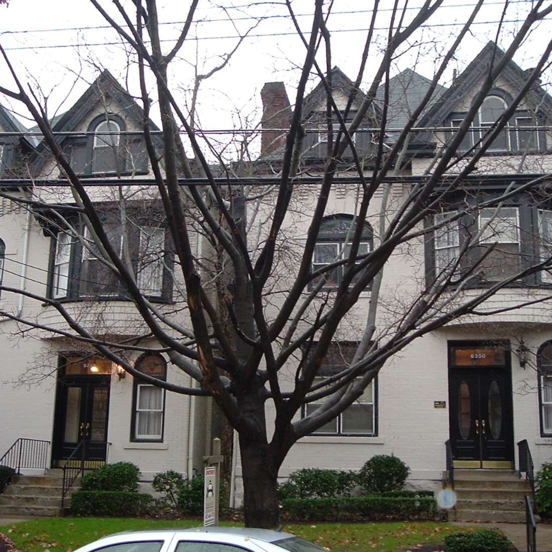exterior of 6350 Aurelia Street