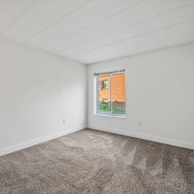 interior of Apt. 204