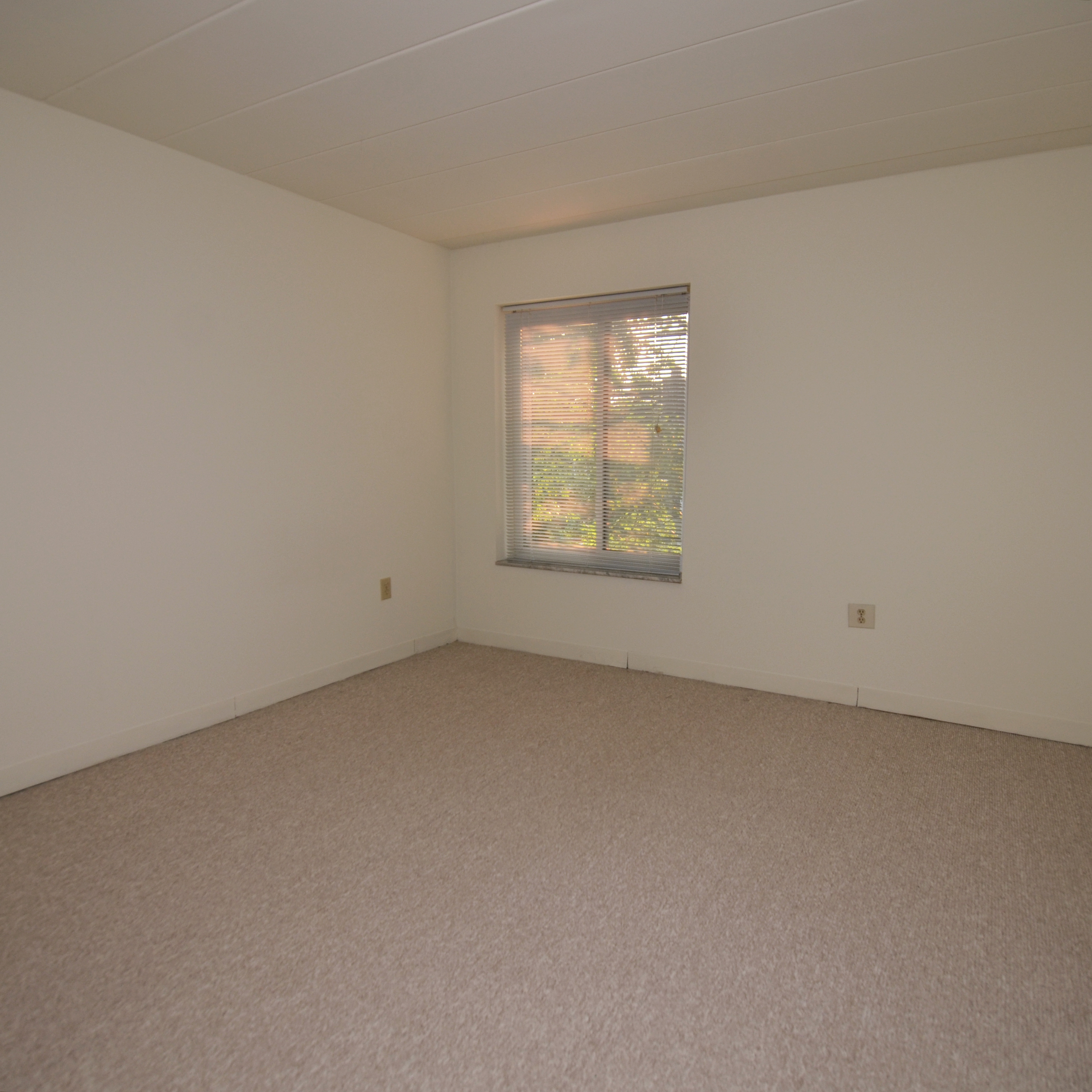 interior of Apt. 301