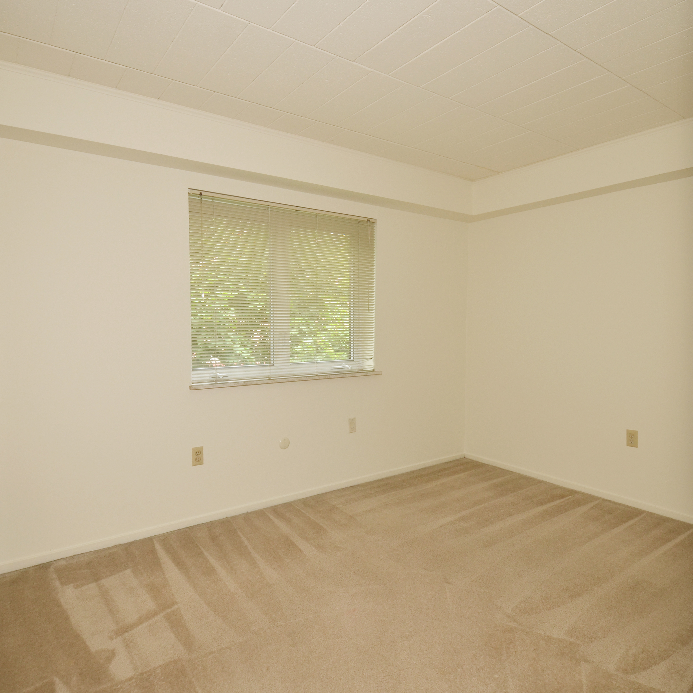 interior of Apt. 42