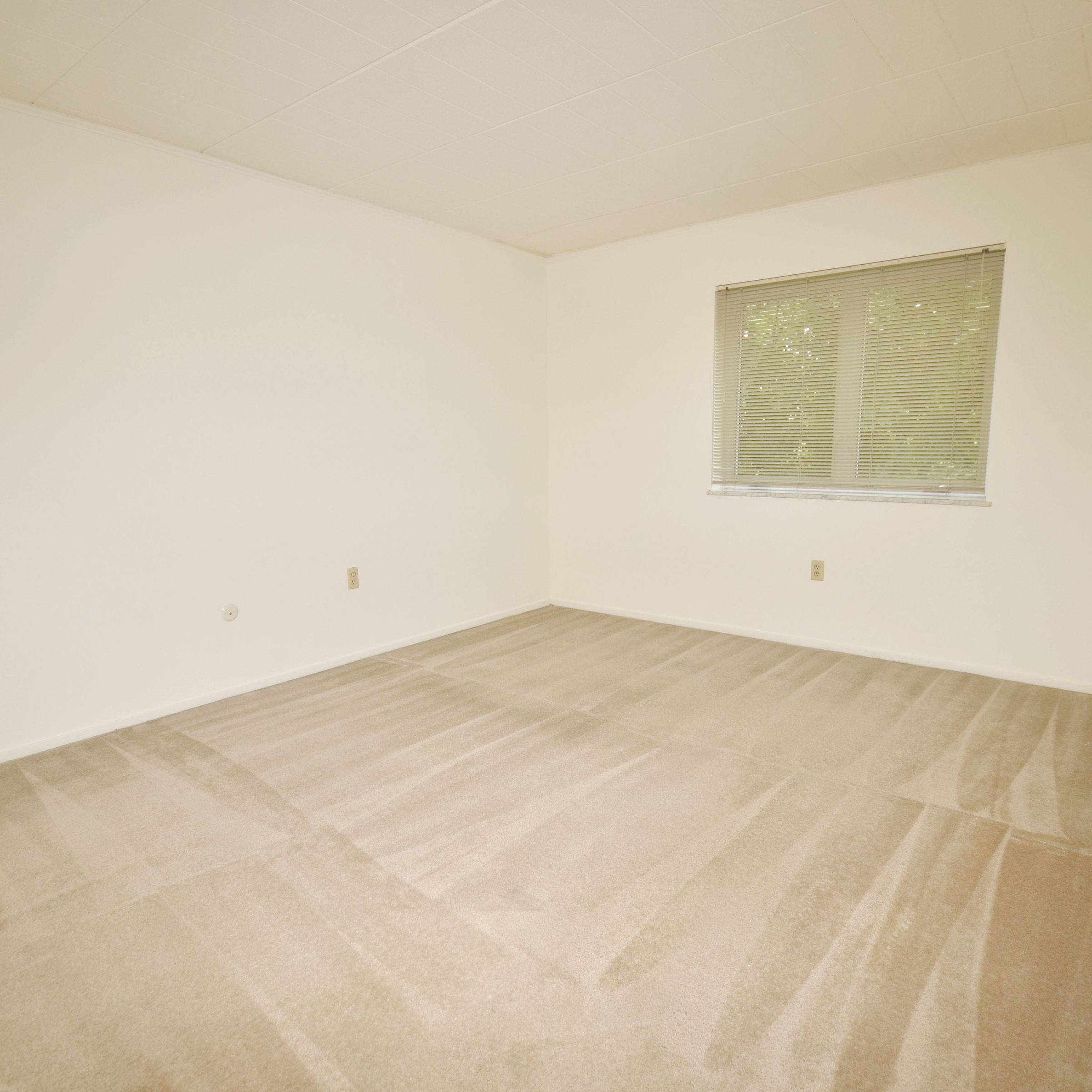 interior of Apt. 42