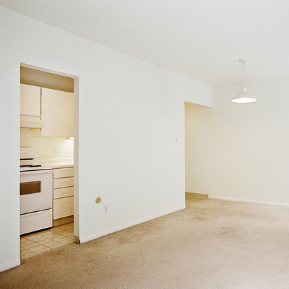Apt. 3