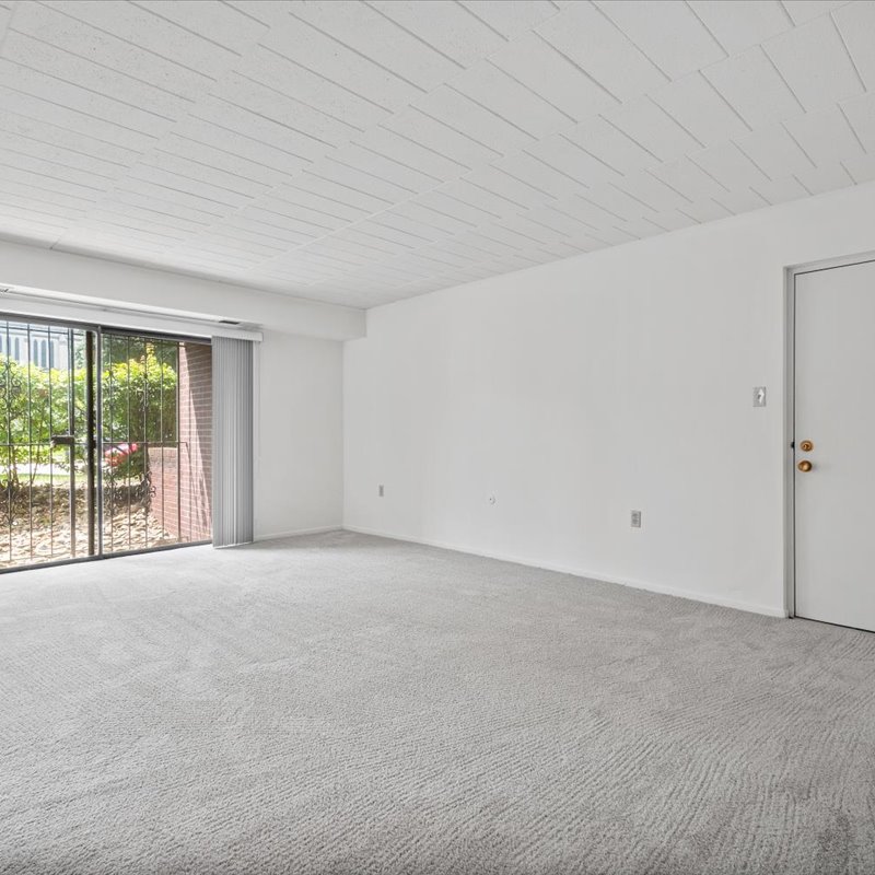 interior of Apt. 16