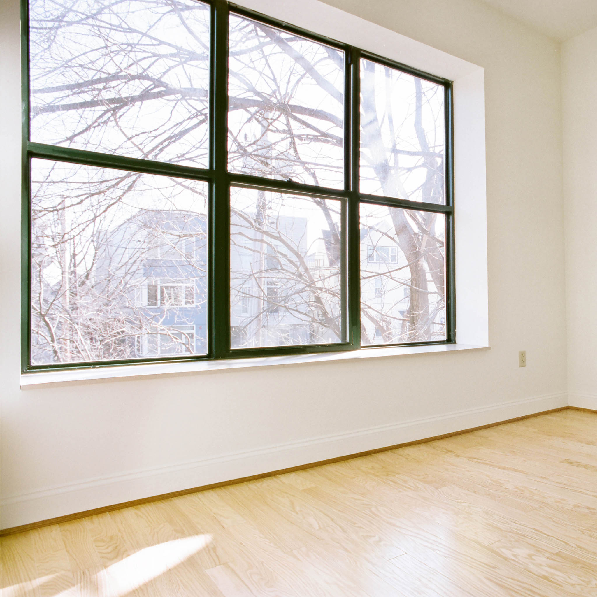 interior of Apt. 24