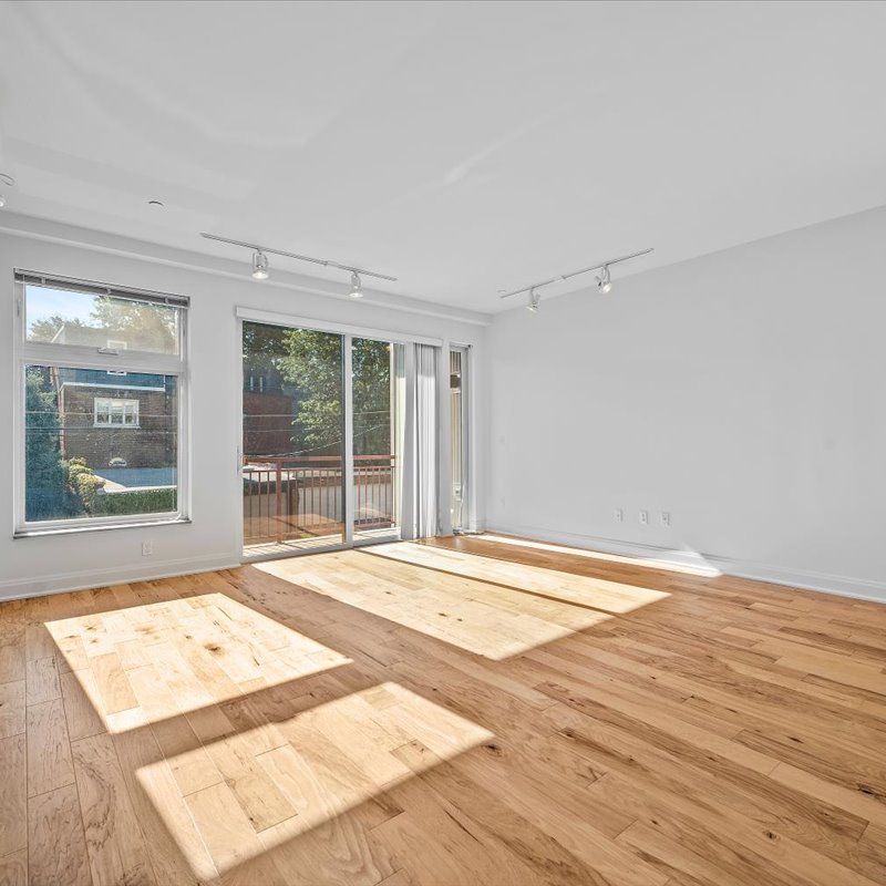 interior of Apt. 203